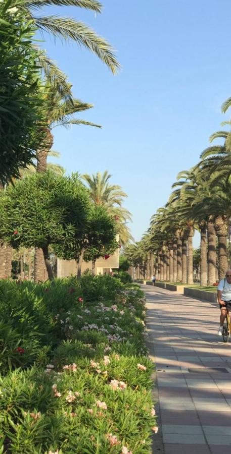 Lux Por Precio Económico. Salou